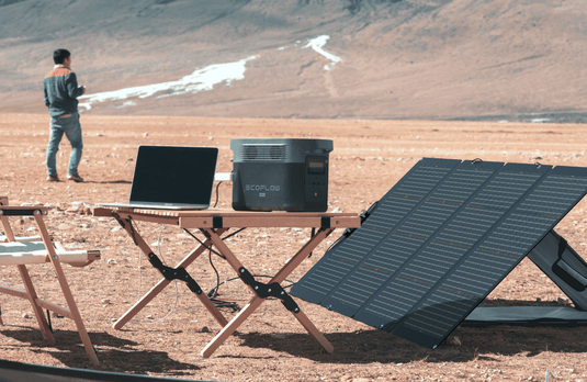Panel solar portátil bifacial EcoFlow NextGen de 220 W