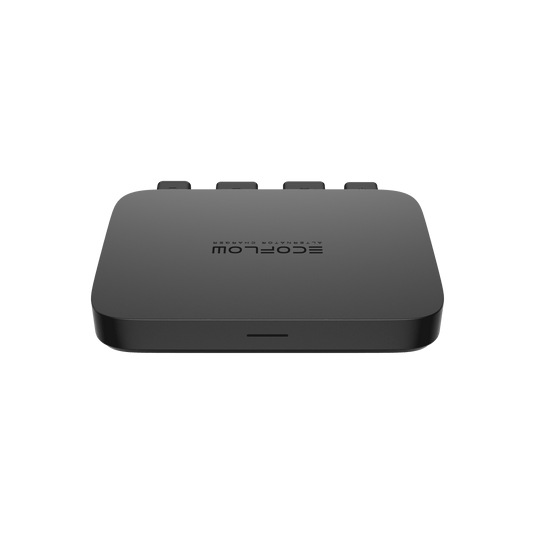 Cargador mediante alternador EcoFlow de 800 W  EcoFlow Europe