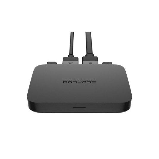 Cargador mediante alternador EcoFlow de 800 W  EcoFlow Europe