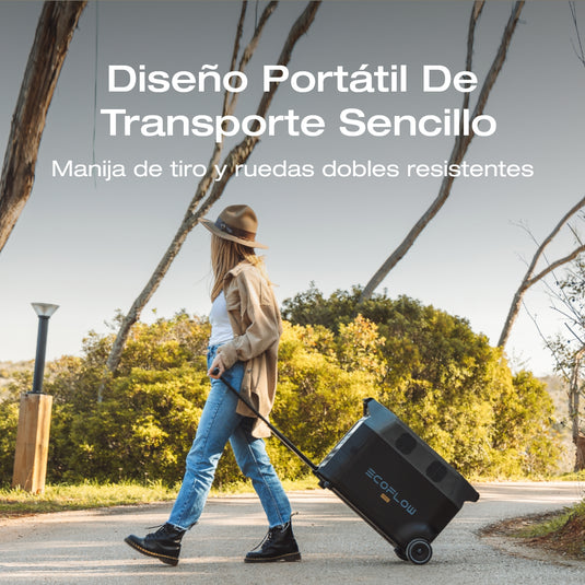 Estación de Energía Portátil EcoFlow DELTA Pro