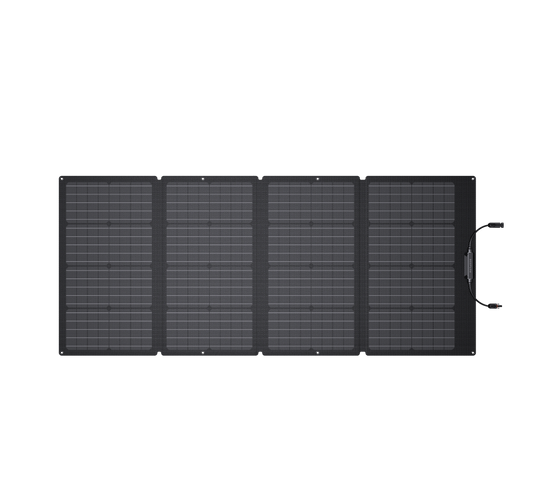 Panel solar de 160 W