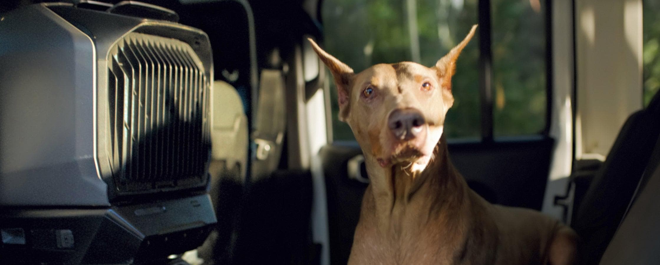 Modos inteligentes para una comodidad máxima