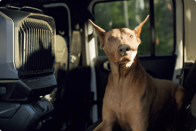 Modos inteligentes para una comodidad máxima