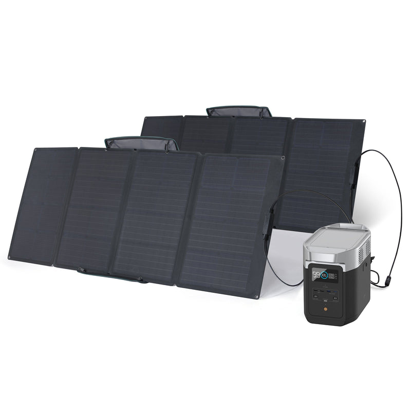 Load image into Gallery viewer, EcoFlow DELTA 2 + Panel Solar de 160W Portable Power EcoFlow DELTA 2 2 
